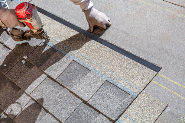 Best Flat Roof Repair Services  in Rosebud, SD